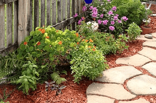 Landscaping Services in Croydon